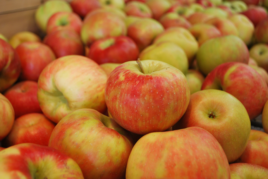 apples