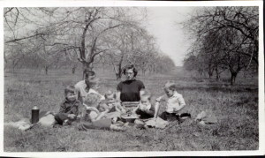 Wolff's Picnic