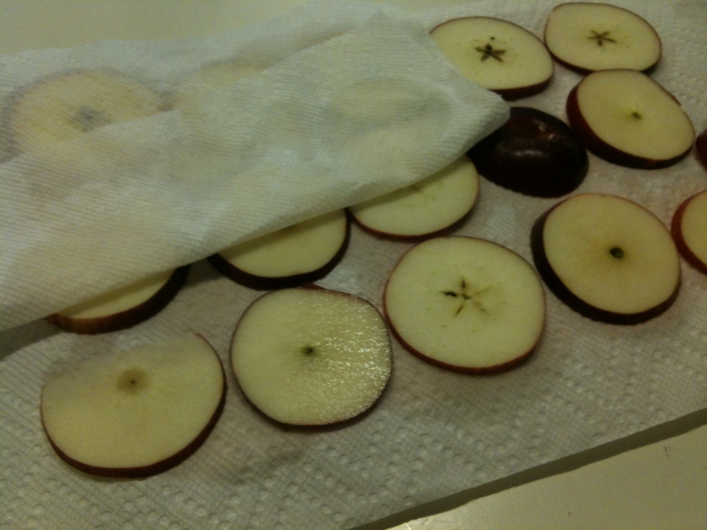 Drying Apples
