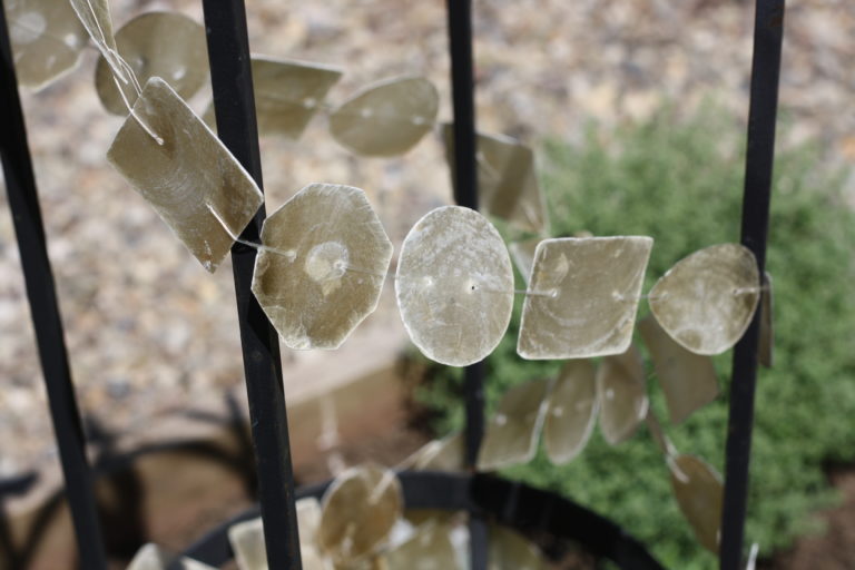 Stringed Capiz Shells