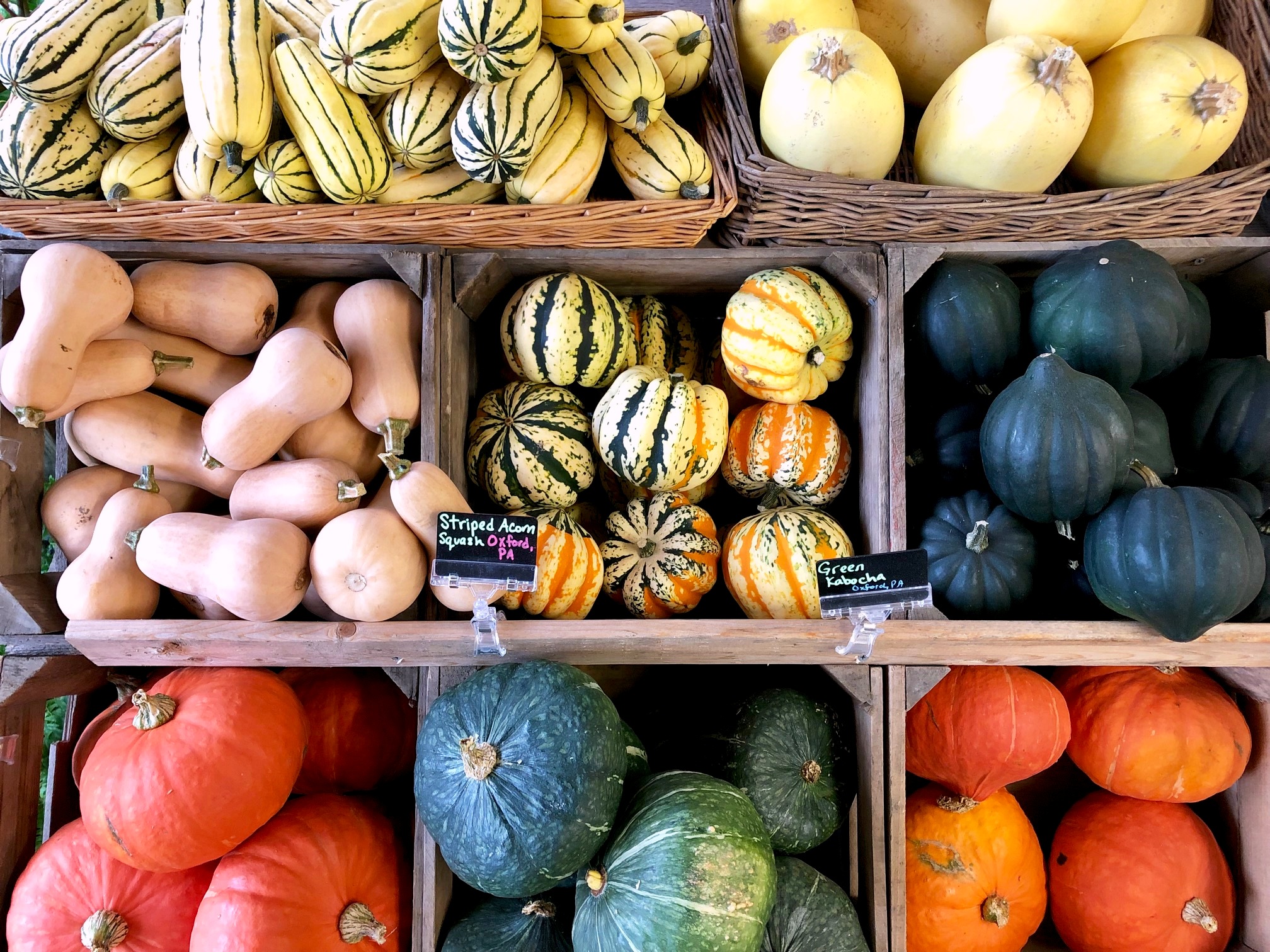 Perfecting Your Autumn Display - Wolff's Apple House